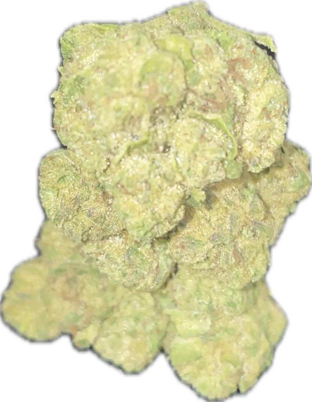 Obama Runtz THCa Flower