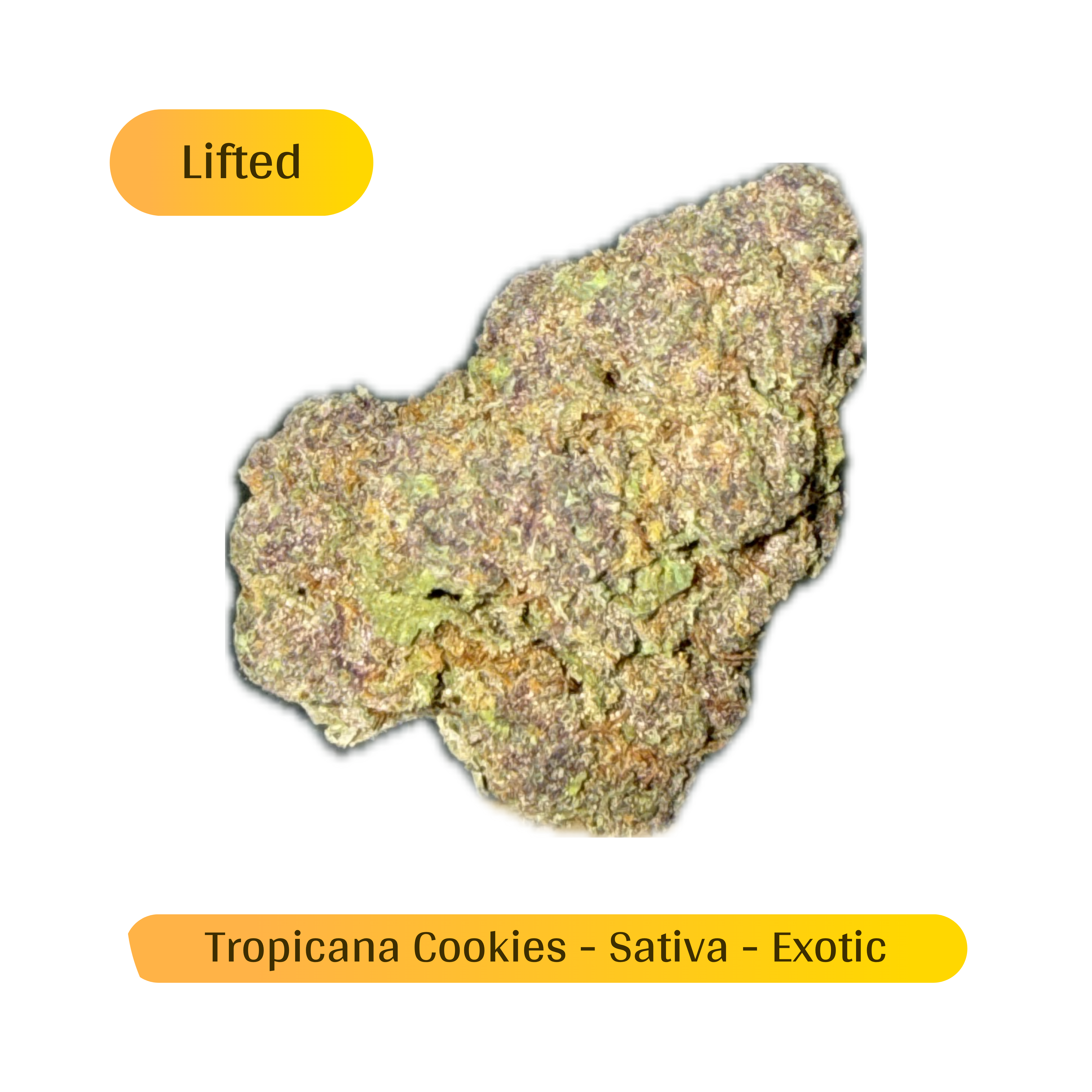 Tropicana Cookies THCa Flower Dispensary+Shipping+Wilmington NC