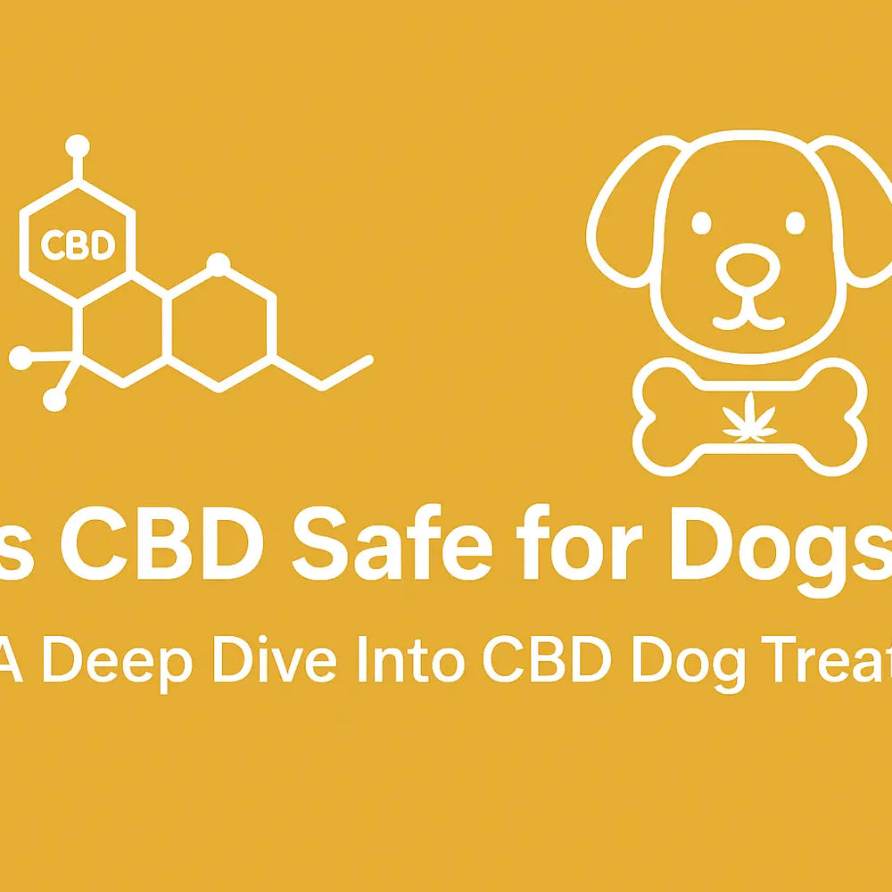 Is CBD Safe for Dogs 2025 Guide to CBD Dog Treats & Pet Wellness