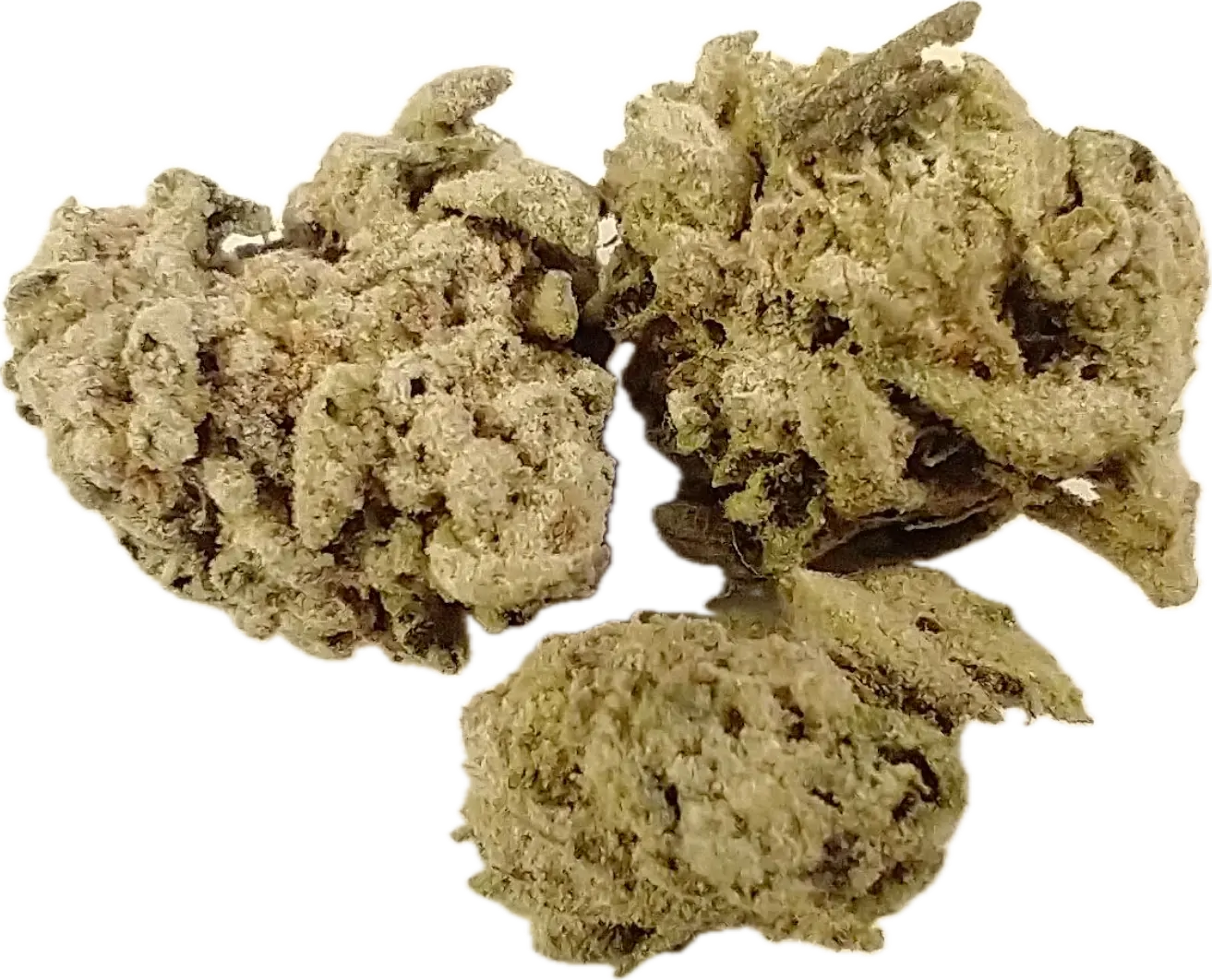 Apple Fritter THCa Flower Label | Hybrid Strain | Delivery Wilmington, NC