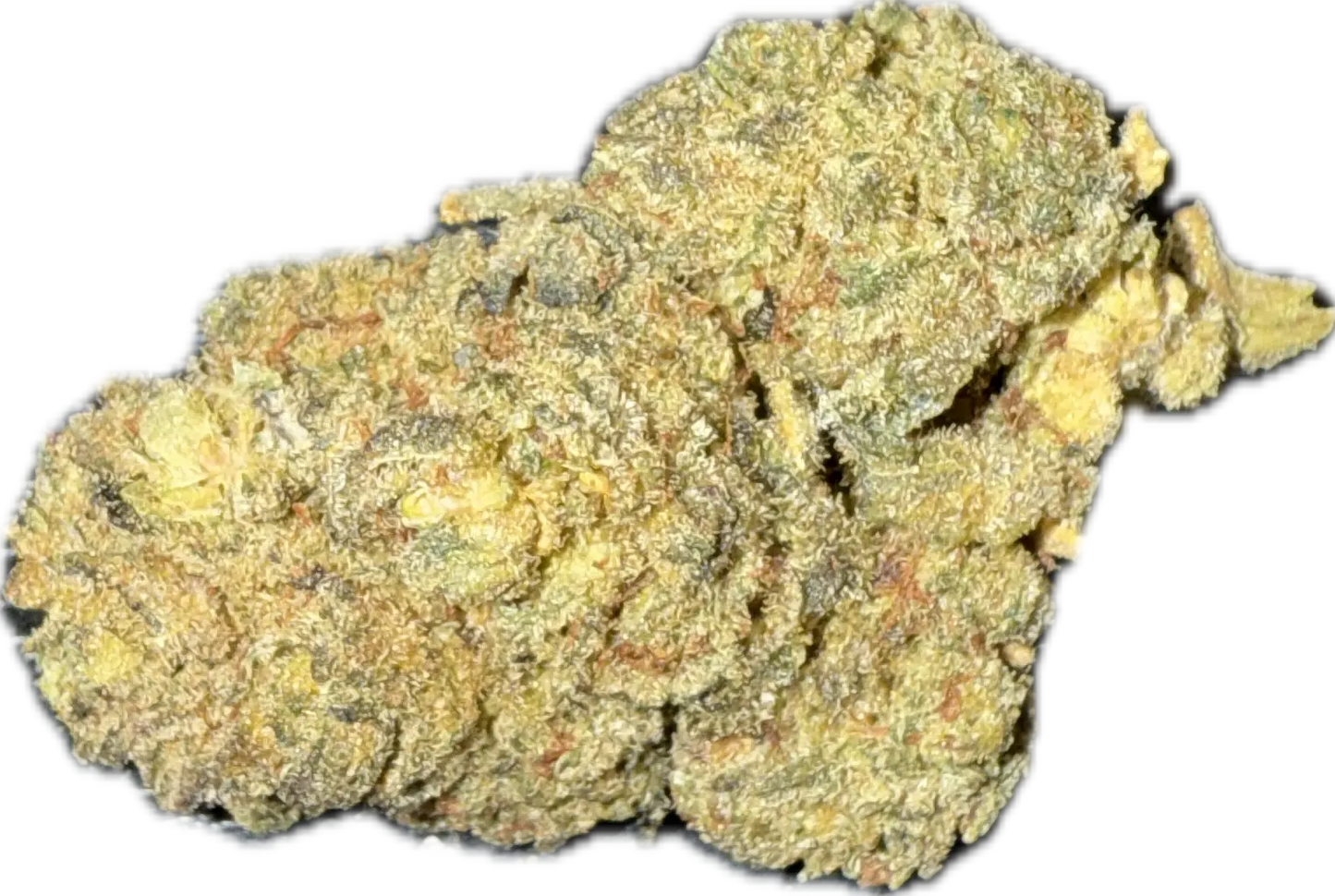 Legendary OG Indica THCa Flower | THC-A Delivery Wilmington, NC | Shipping