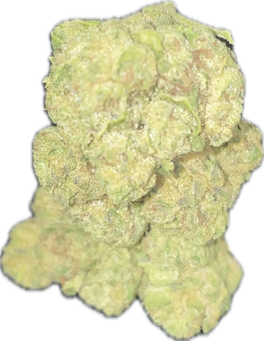 THCa Flower | Obama Runtz - Indica THC-A Strain