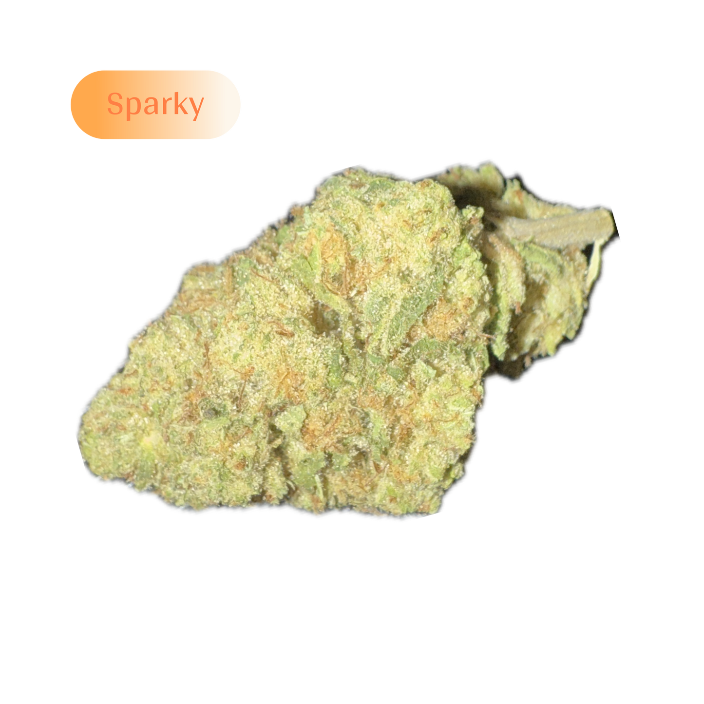 orange creamsicle sparky