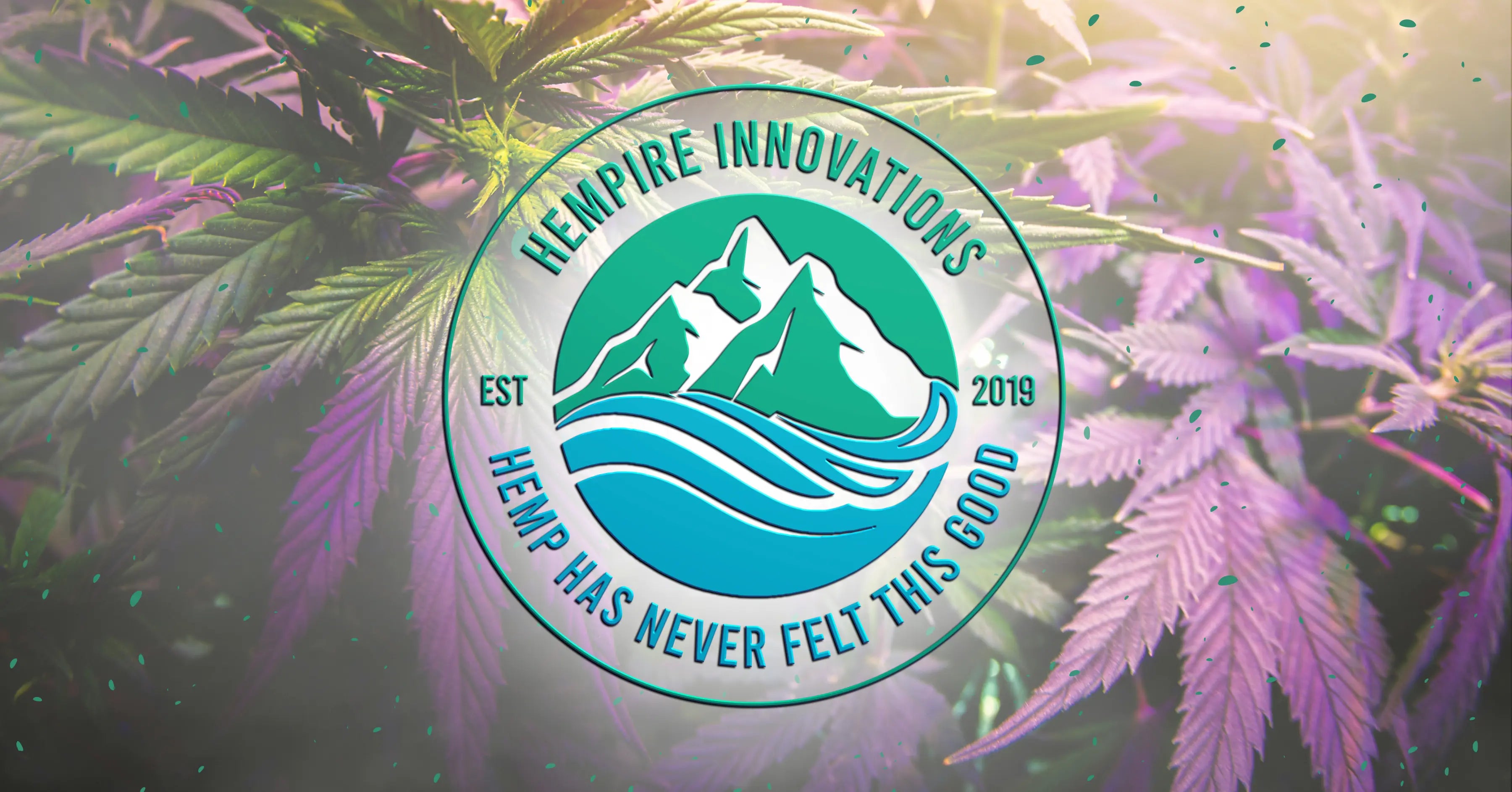 About Delta 8 THC Gummies Wilmington NC Delivery USA Shipping