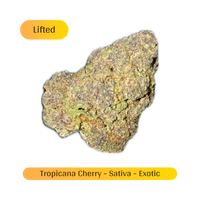 Tropicana Cherry Sativa Exotic THCa Flower - THC-A Hemp Buds